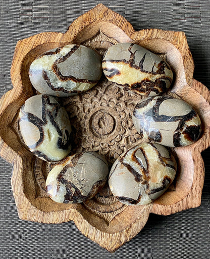 Septarian Palm Stone