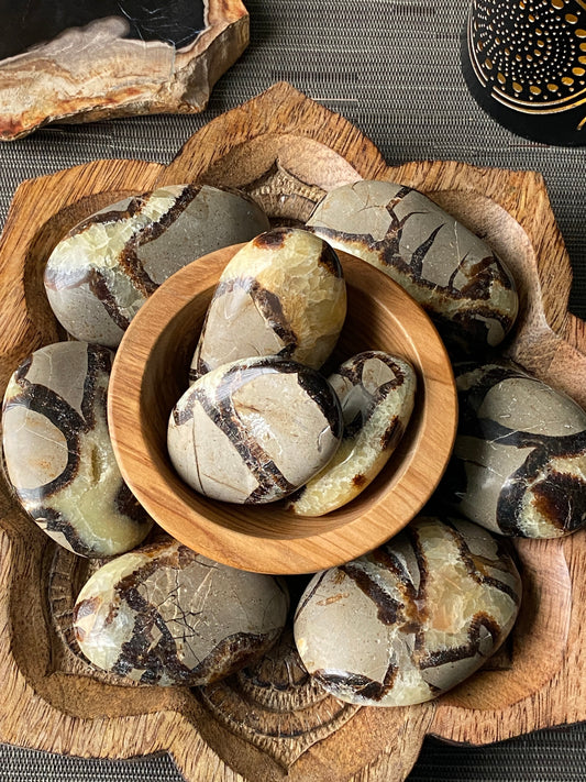 Septarian Palm Stone